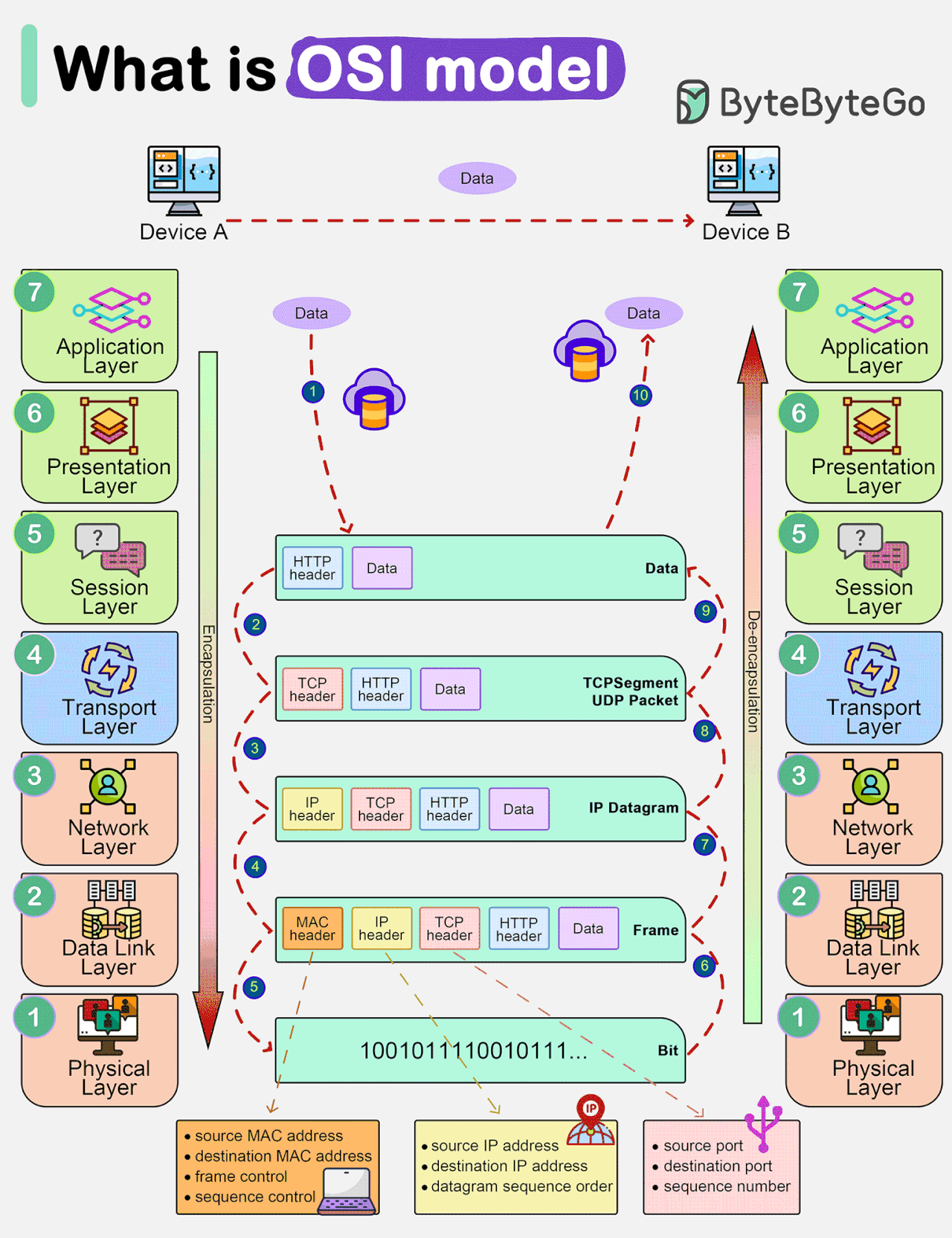 OSI & TCP/IP